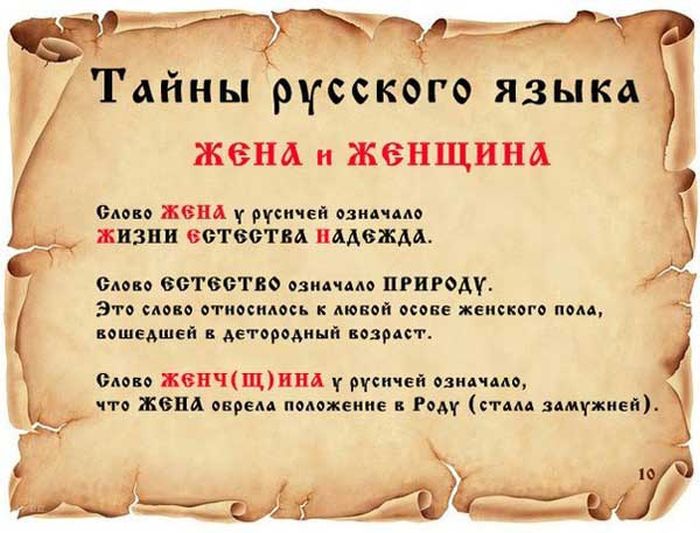 Факты о русском языке (14 картинок)