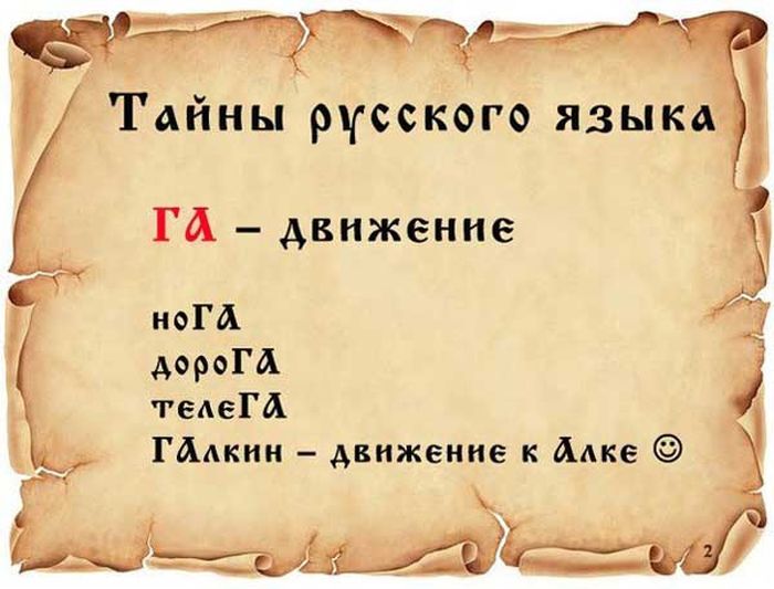 Факты о русском языке (14 картинок)