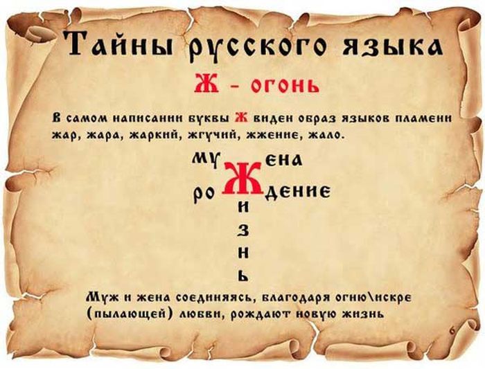 Факты о русском языке (14 картинок)