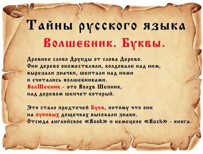 Факты о русском языке (14 картинок)